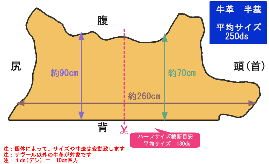 サイズ